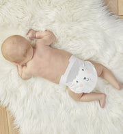 eco nappies