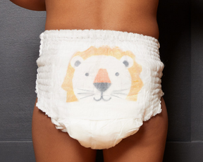 Size 5 nappy pants: zebra & lion