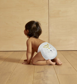 eco nappy pants bundle (test)