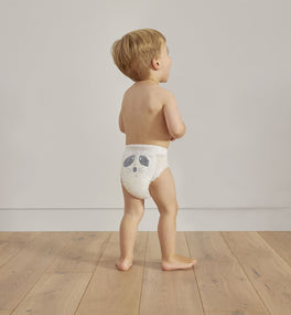 eco nappy pants bundle (test)