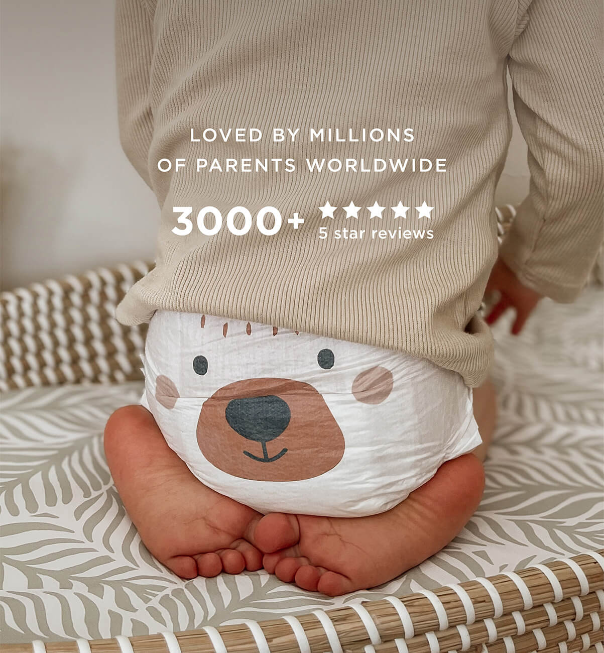 eco nappies
