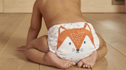 Discover ourreusable nappy