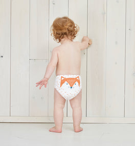 reusable nappies bundle